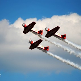 推荐中关村D3000论坛的精华作品