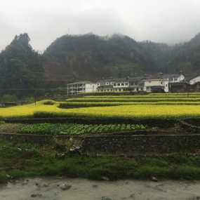 好想学摄影，都是自己拍的