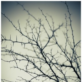 Sven Duzont 风光人像摄影