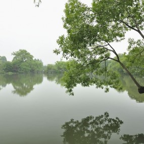钱塘江边、西子湖畔！