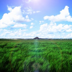 乌兰布统的夏季