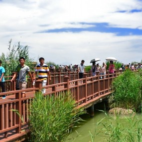 大美宁夏——沙湖，沙坡头
