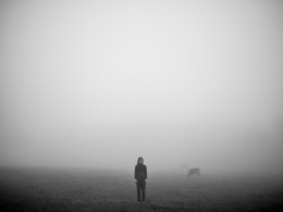 晨雾溟蒙间 一树一轮回