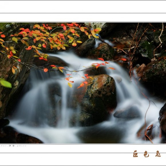 深入秦岭望秋水