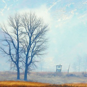 美丽的朝鲜山村