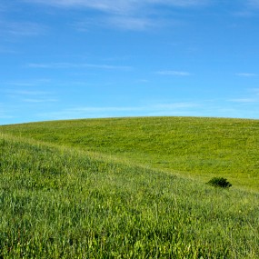 2011年旅游摄影大赛参赛作品--高山草原之夏-中国甘南独行记