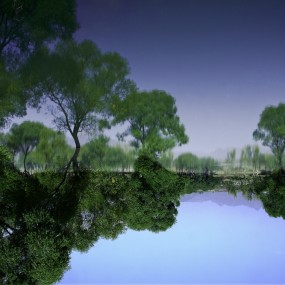 正图倒看也漂亮。。。。。