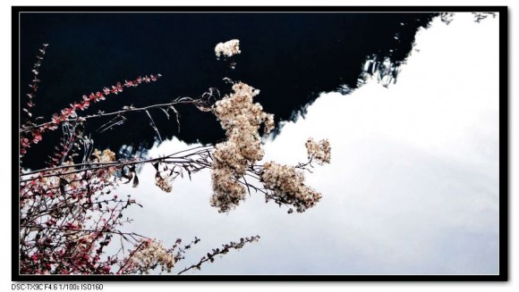 卡片机中的九寨沟依然美丽动人