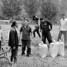 西部乡村影像（72）