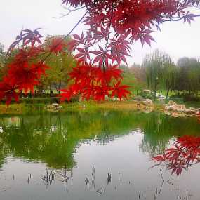 雾里看曲江南湖