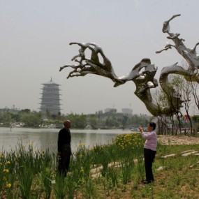 世园会全民摄影大赛参赛作品