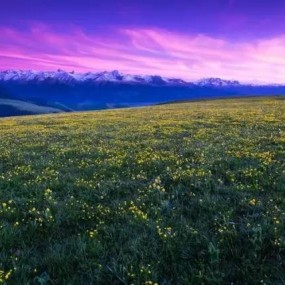 这些春天浪漫旅行地，你去过几个？