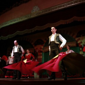 【卜卜作品】弗拉明戈-1