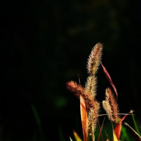 新人报道，望各位多多拍砖~客观点评 必虚心听取！