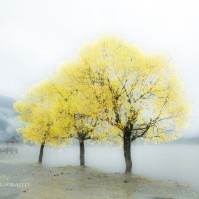 旅游旅游的独特遇见