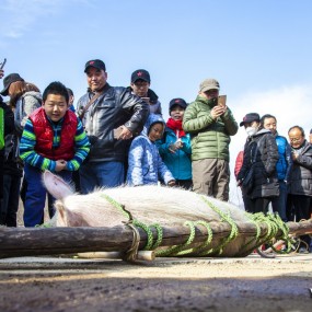 【相约野竹坪】