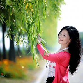 凌波荷韵不染尘