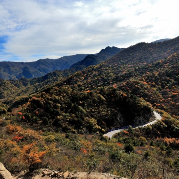 秦岭斑斓浓   天凉好个秋
