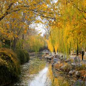 迷人的五彩秋色