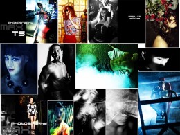 摄影师李纯洁近期摄影作品