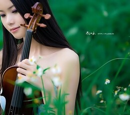 在生命最美的地方