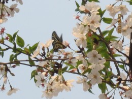 桂林南溪山公园