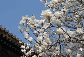 新人，自己以前的片子和大家拿来分享。