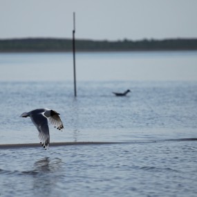 暑假乱拍，多多来砖