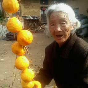 奶奶串柿饼