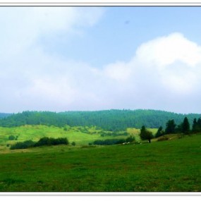 乌江画廊——仙女山大草原