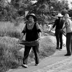 西部乡村影像（71）