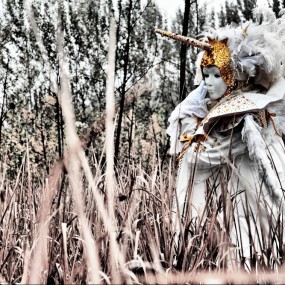 树林里白色的梦魔