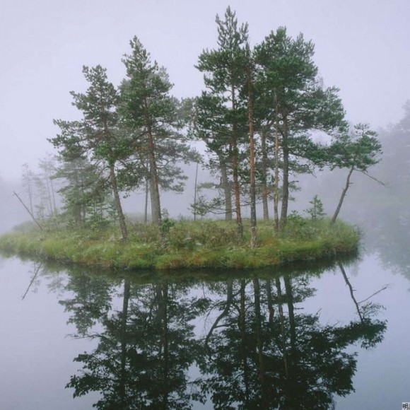 灞桥湿地公园景色美