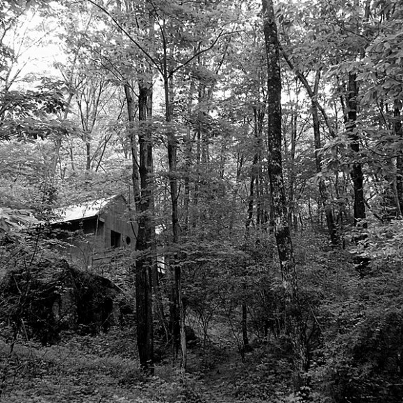 牛背梁的另一个色彩 小溪 小桥 小路