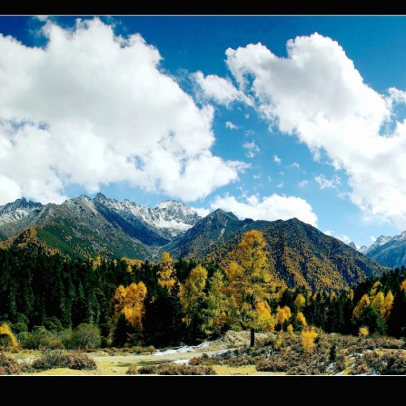 《秋染祭龙坛》