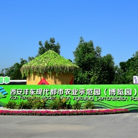 西安沣东农业示范博览园---薰衣草花香