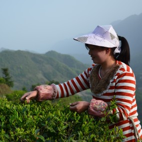 巴山明珠--大美镇巴。