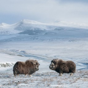 每日一图2013年7月份（国家地理）