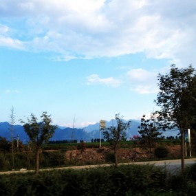 昨天去户县吃羊肉