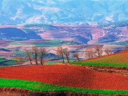 我的摄影我的团【冬季七彩云南摄影团】