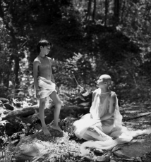 如是 我看见了看见