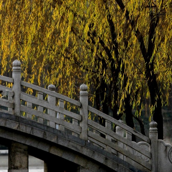 转转拍拍看冬景