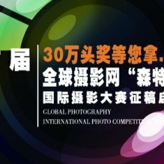 2015年摄影比赛，头奖30万总奖金高达63万