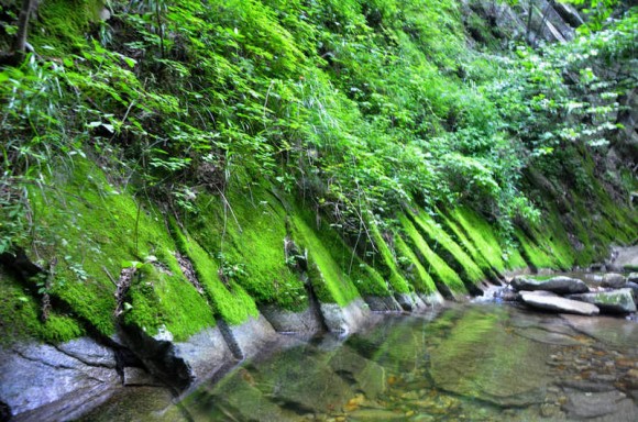 太平峪西寺沟的清凉美景