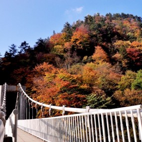 黎坪红尘峡红叶满山梁