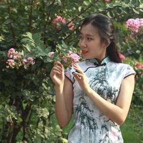 小雁塔旗袍摄影活动作业