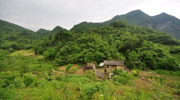 远离城市的地方（视频）