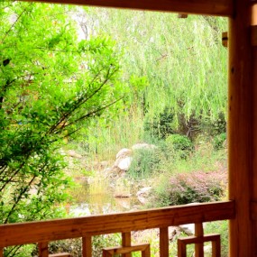 5.1世园会活动作业