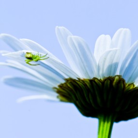 没有大地，就没有生命