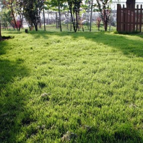 世园小景 （世园全民摄影大赛参赛作品）